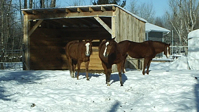 Équitation Dawson — Eastern Townships