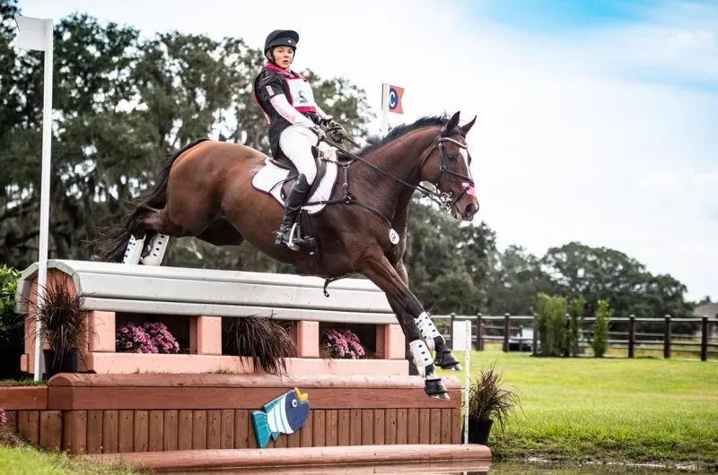 Extreme Stables — Tees (1)