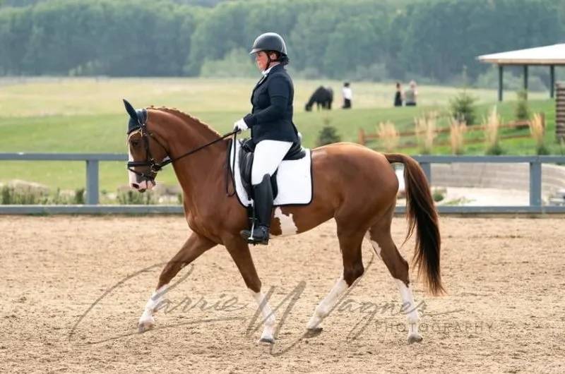 Extreme Stables — Tees (3)