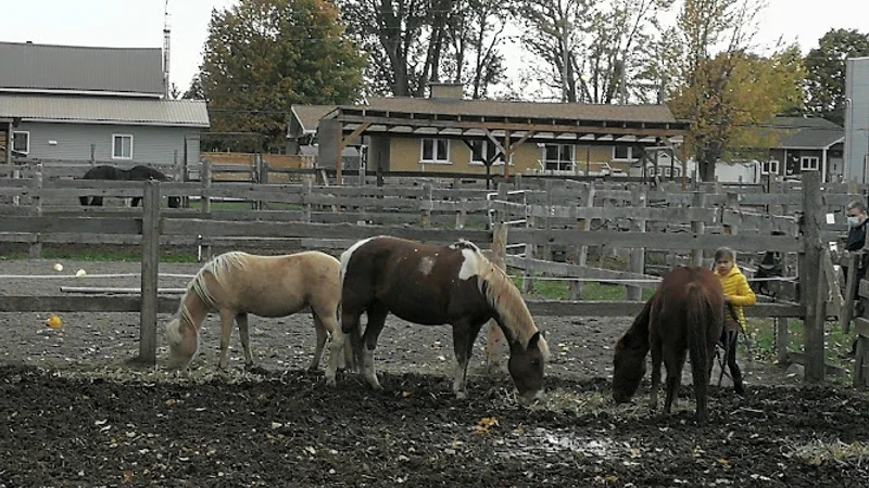 Farm Fantasia — Saint-Jean-sur-Richelieu, Montérégie