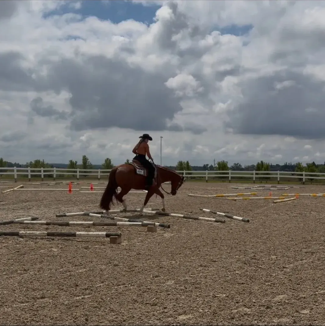 Ferme Cliche & Lessard — Saint-Victor (4)