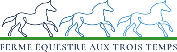 Ferme Équestre Aux Trois Temps — Saint-Basile-le-Grand (2)