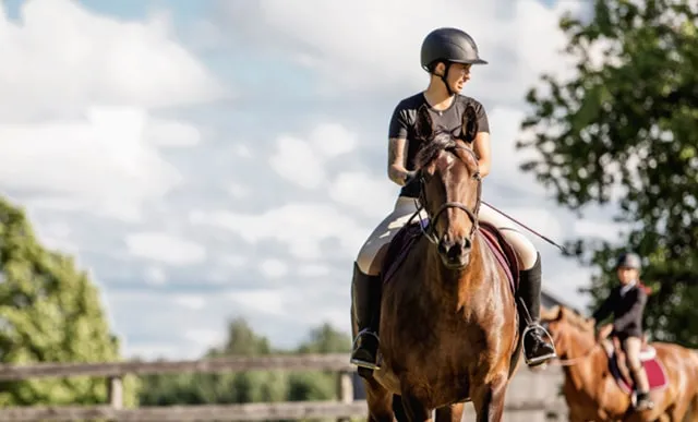 Foxwood Farm Equestrian Centre — Gilford (3)