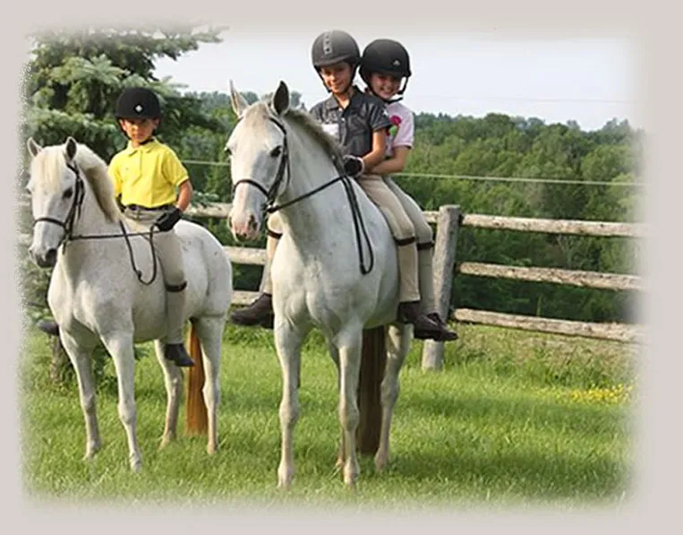 Gordonhurst Equestrian Centre — Bolton (2)