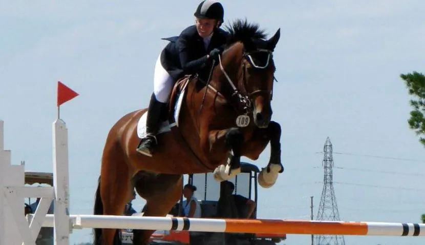 Grand Oak Meadows Stables — Headingley (1)