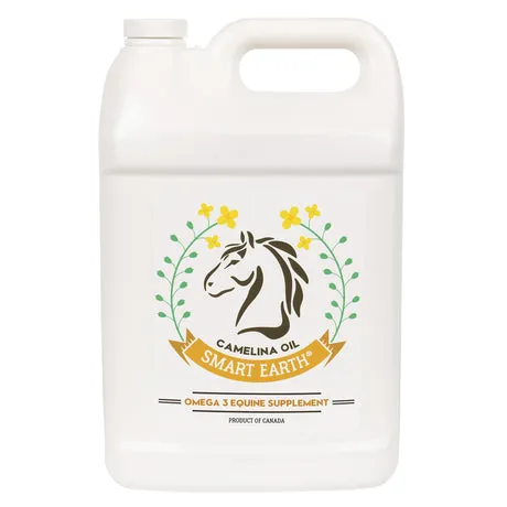 Greenhawk Equestrian Sport - Kingston — Kingston (1)