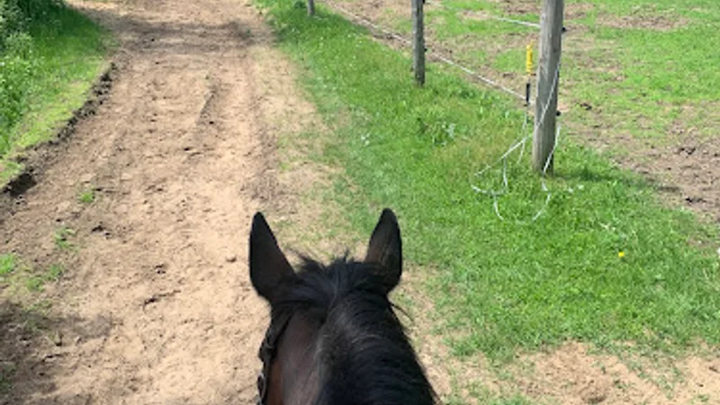 Greystone Equine in Rigaud, Quebec