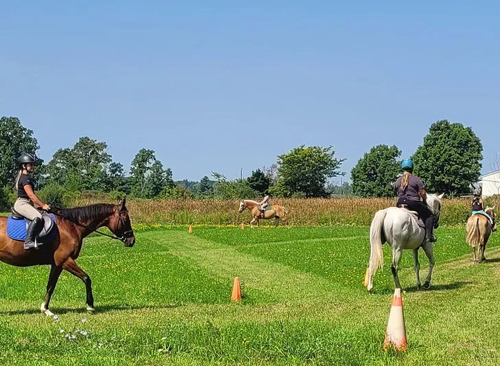Hall Berry Stables — Binbrook (1)