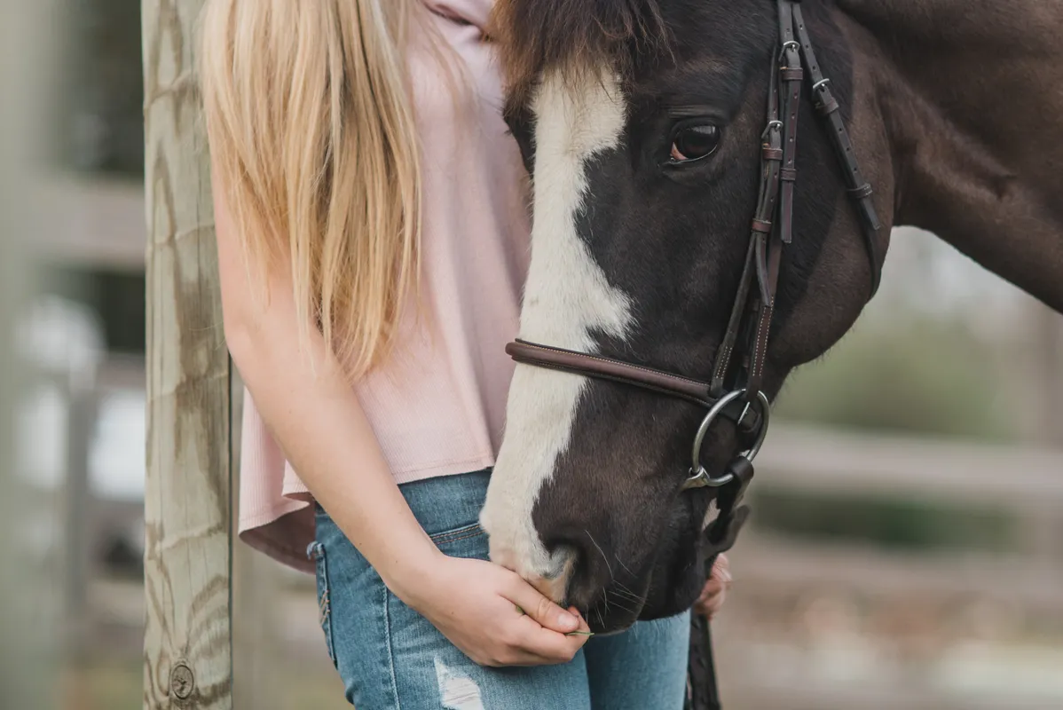 Heron Bay Equestrian Facility — Delta (1)