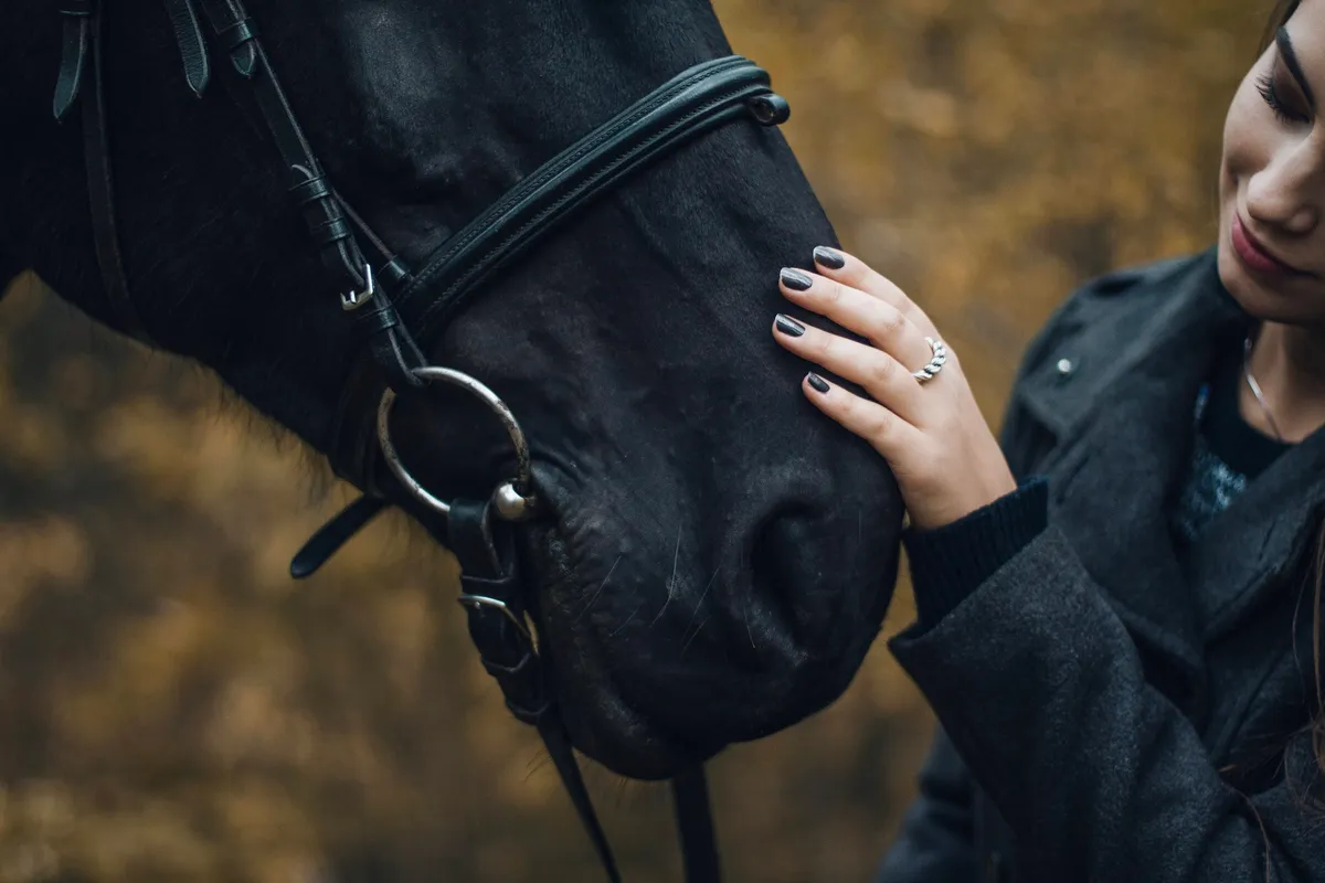Heron Bay Equestrian Facility — Delta (3)
