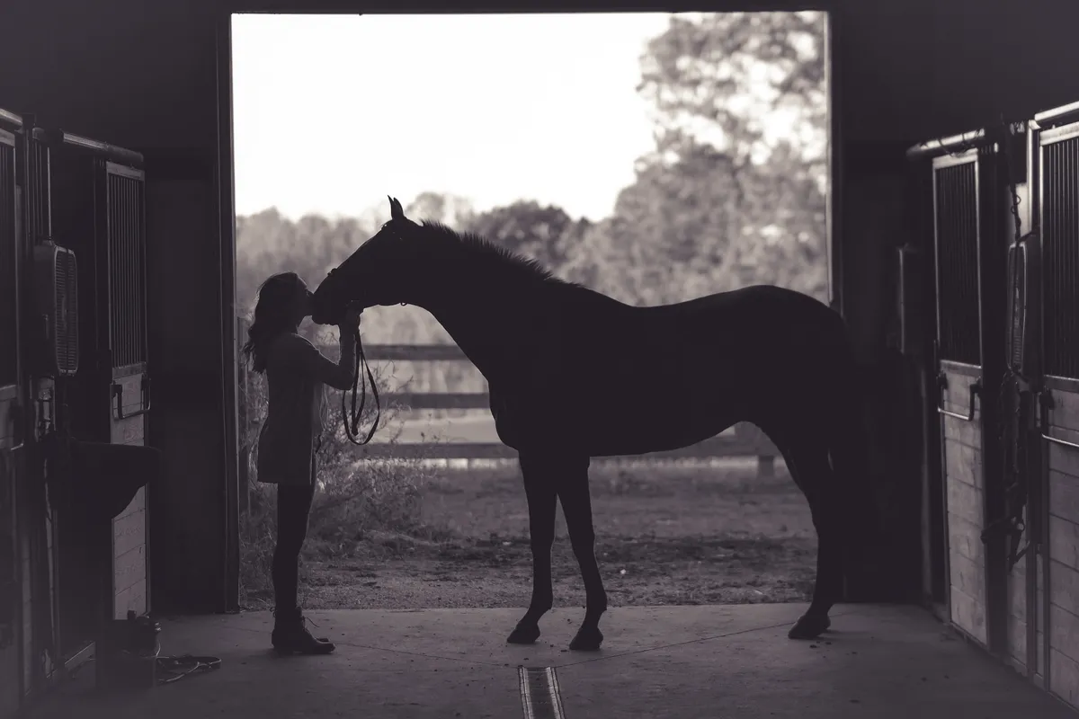 Heron Bay Equestrian Facility — Delta (4)