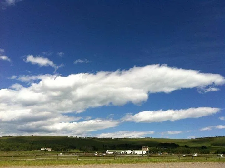 Hillside Acres Equestrian Centre Ltd — 378 Ave (1)