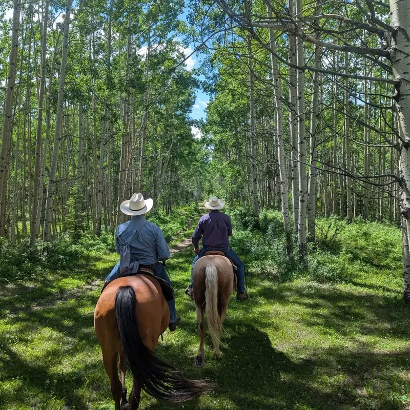 Homeplace Ranch — AB T0L 1W4 (1)