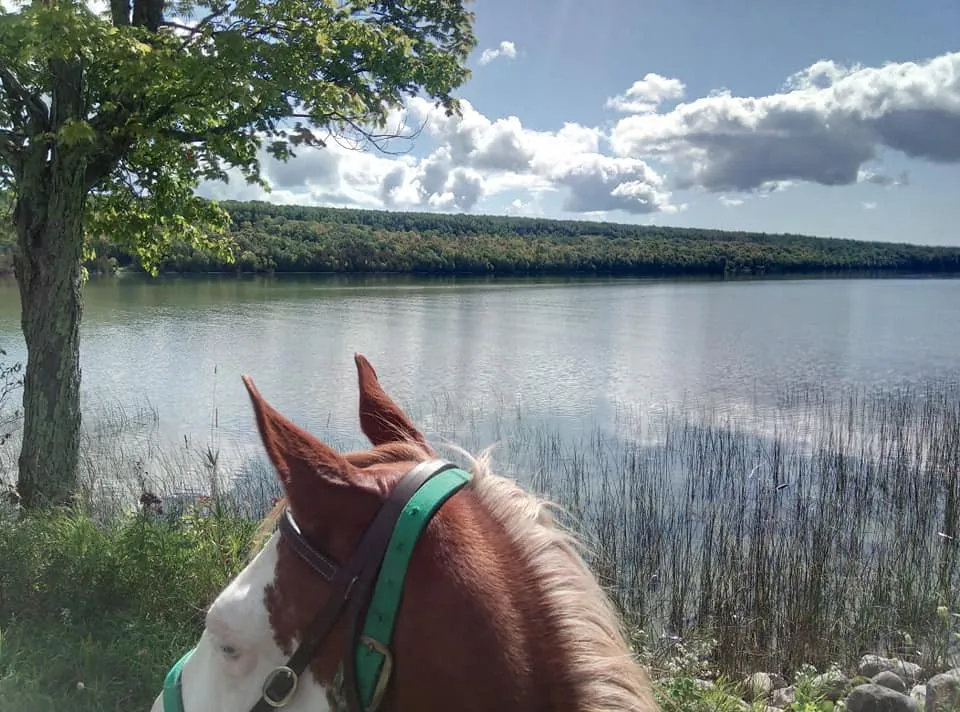 Honora Bay Riding Stable — Little Current (1)