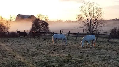Hopewell Creek Stables — Breslau (1)