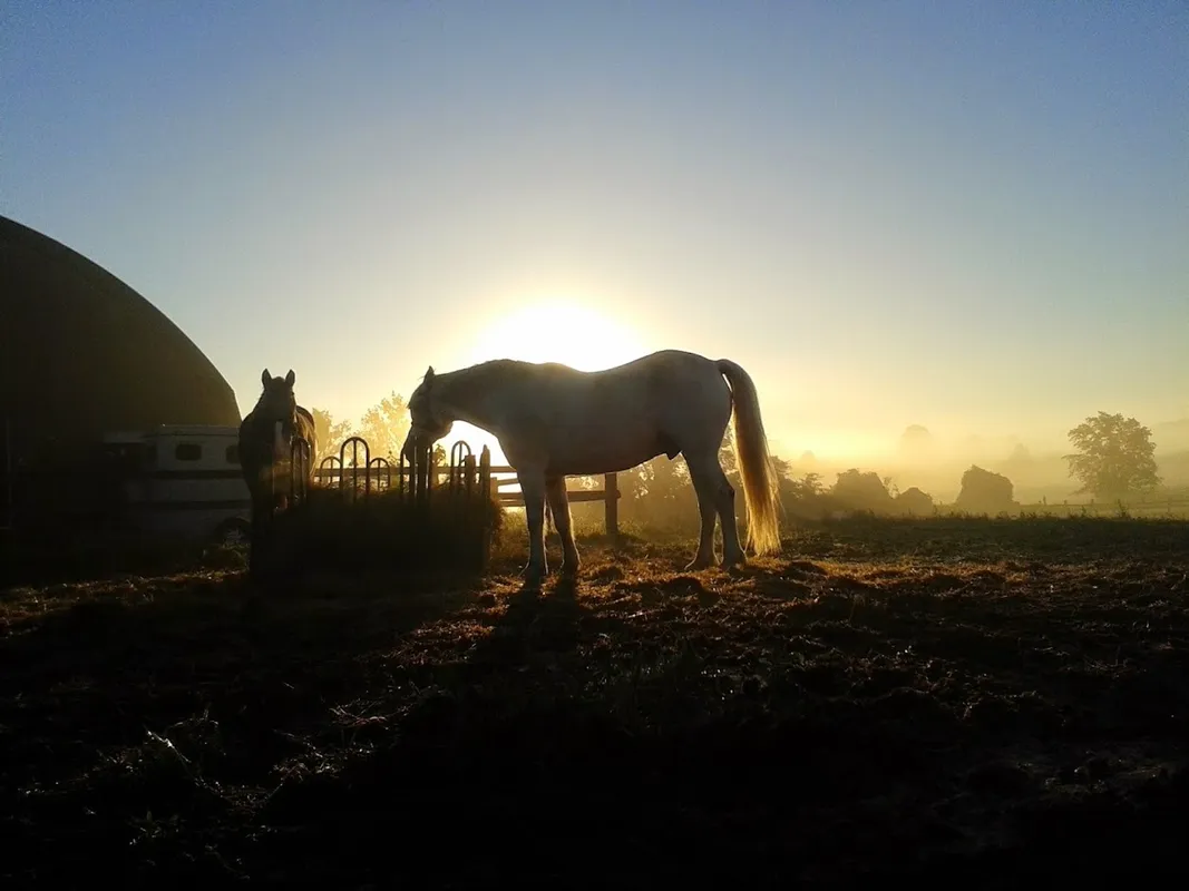 Hopewell Creek Stables — Breslau (3)