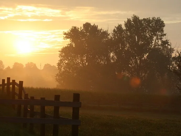 Hopewell Creek Stables — Breslau (4)