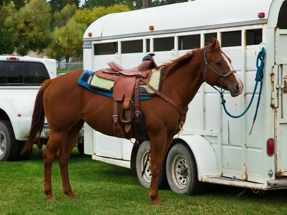Horse Haven Ranch — Yukon Territory (1)