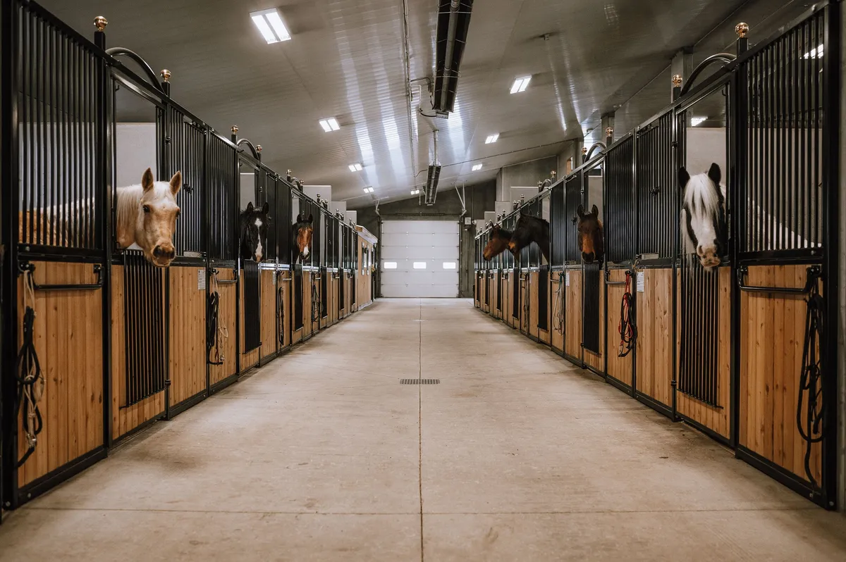 Horse In Hand Ranch Ltd. — AB T4M 0X8 (4)
