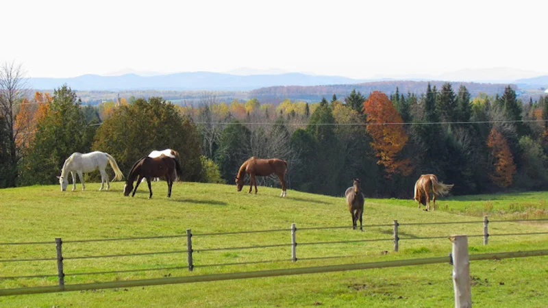 Horsemanship Equestrian Facility — Cookshire-Eaton, Eastern Townships