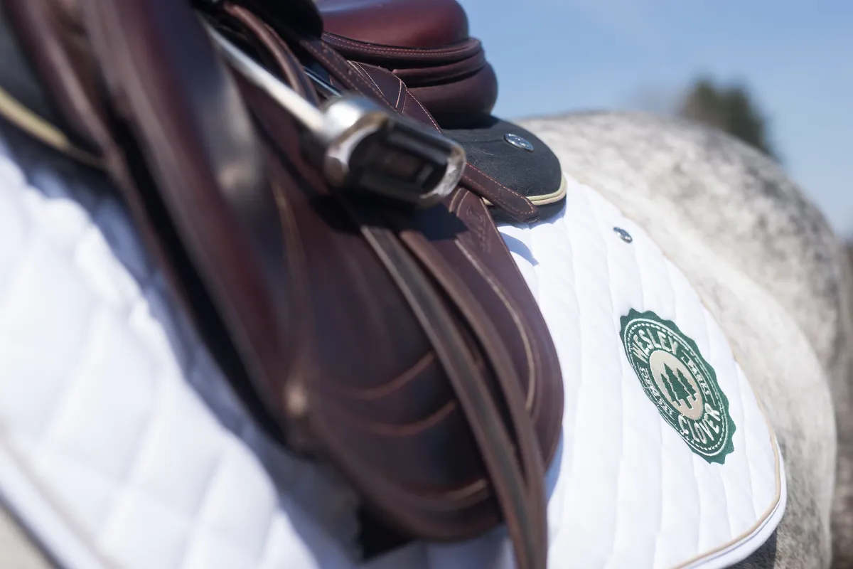 Ian Millar School of Horsemanship — Nepean (4)