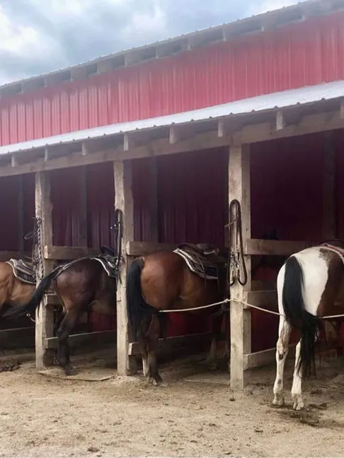 Kicking Mule Riding Stable & Cookhouse — Tehkummah (1)