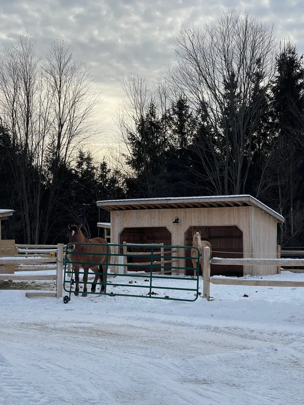 Le Dream Ranch — Saint-Maurice (4)