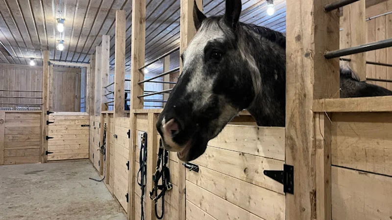 Le Ranch De La Deuxième Chance — Brome