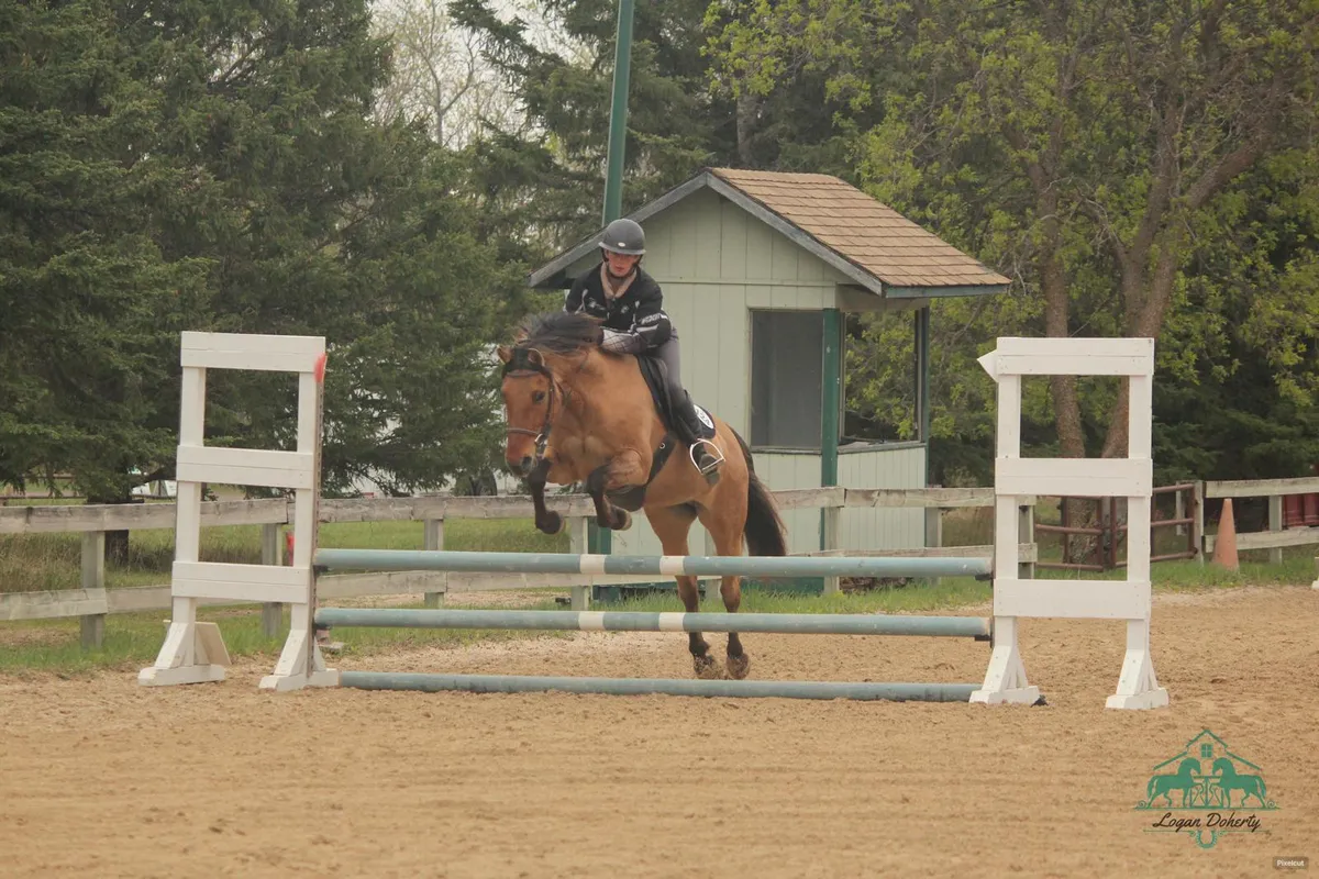Lea Bank Equestrian Centre — Rosenort (3)