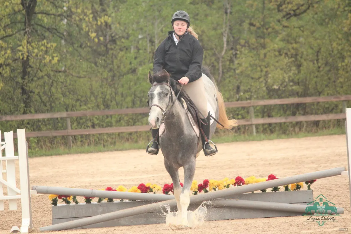 Lea Bank Equestrian Centre — Rosenort (4)