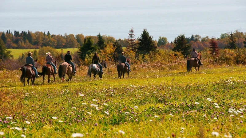 Les Écuries Entre Monts Et Marées — Saint-Irénée, Montérégie