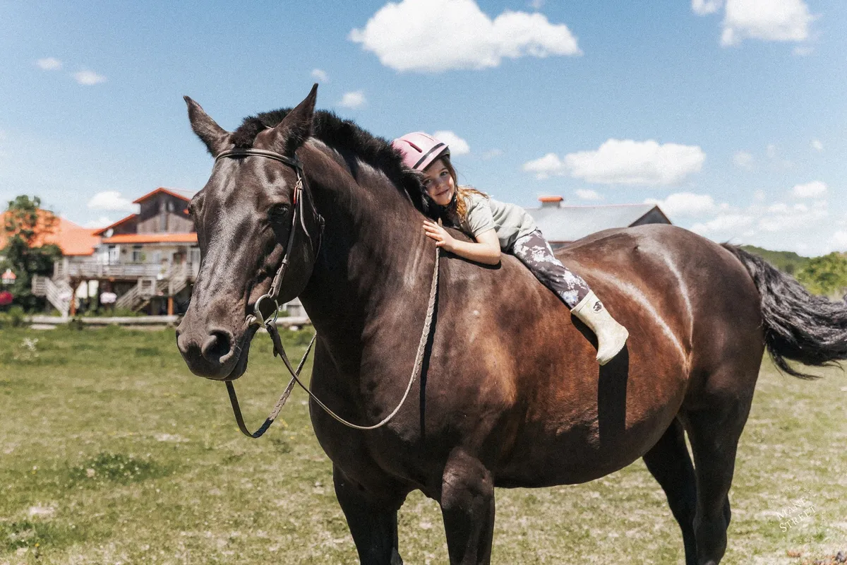 Les Ecuries Knight Stables - 1