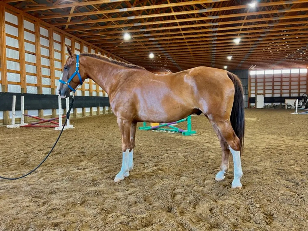 Lucky Seven Ranch — Saint Alphonse (2)