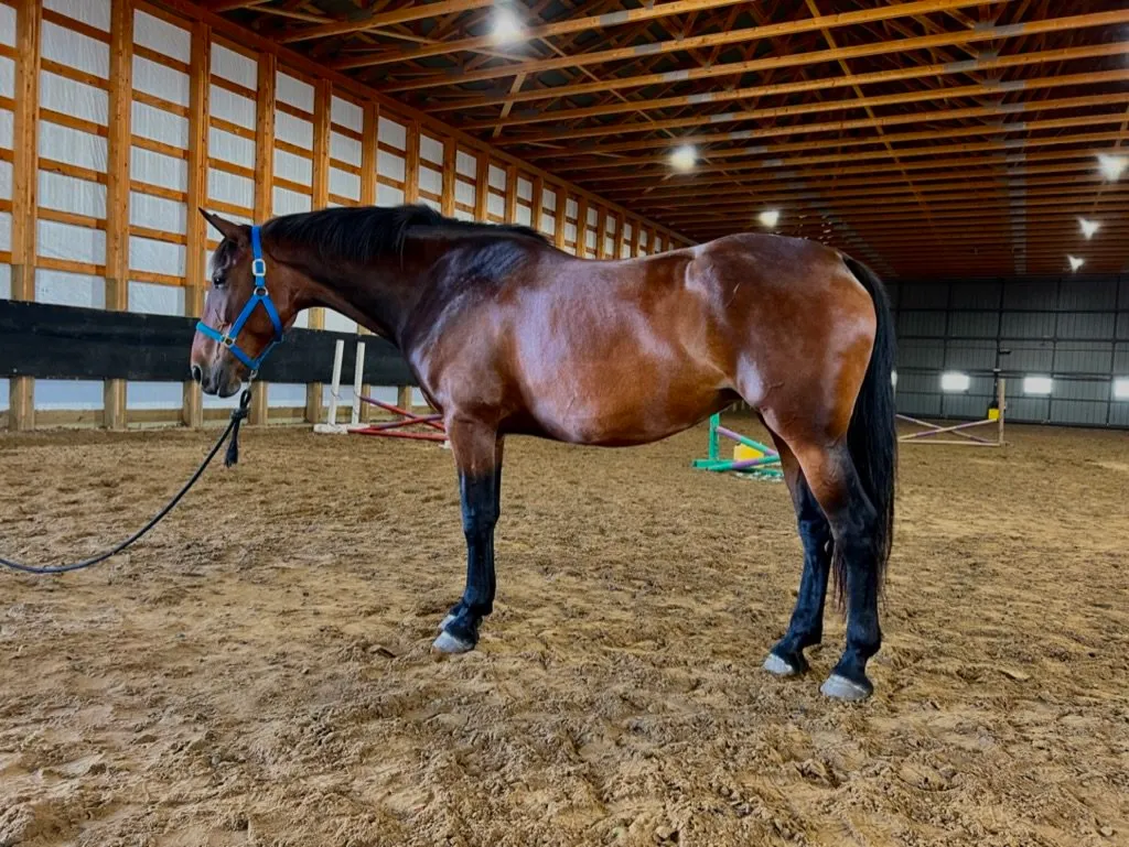 Lucky Seven Ranch — Saint Alphonse (3)