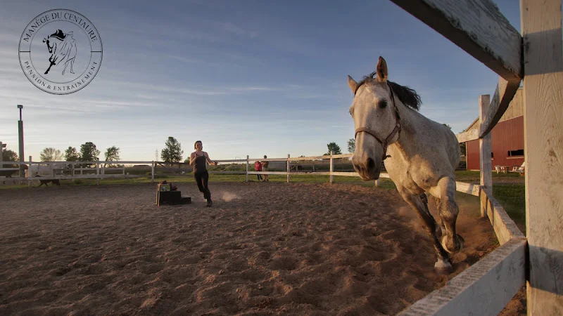 Manège Du Centaure Equestrian Center And School D'équitation — Saint-Jean-sur-Richelieu, Montérégie