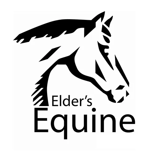 Manitoba Horse Council — Winnipeg (3)