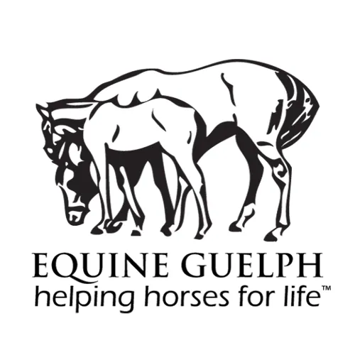 Manitoba Horse Council — Winnipeg (4)