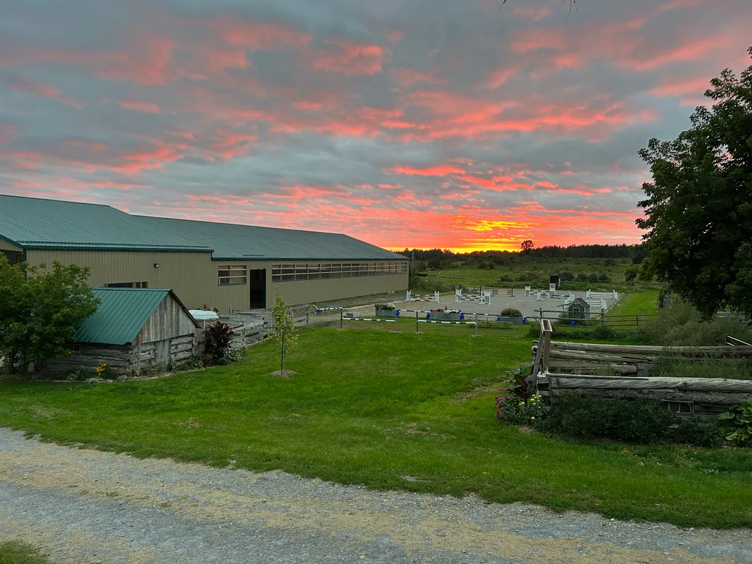 Meadowvale Farm Equestrian Centre — Carp (2)