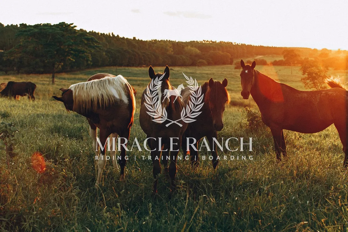 Miracle Ranch — Winnipeg (1)