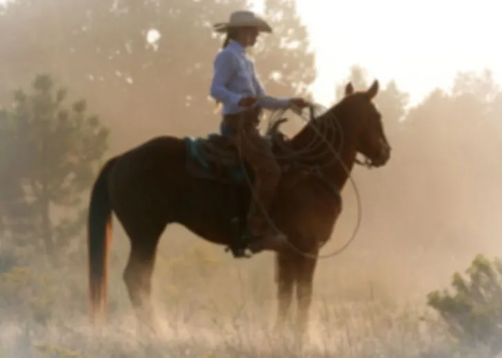 Moose Hill Ranch Equestrian Centre — Calgary (1)