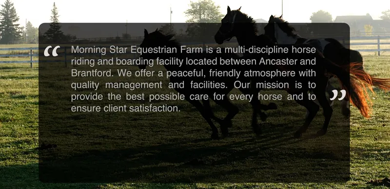 Morning Star Equestrian Farm — Brantford (1)