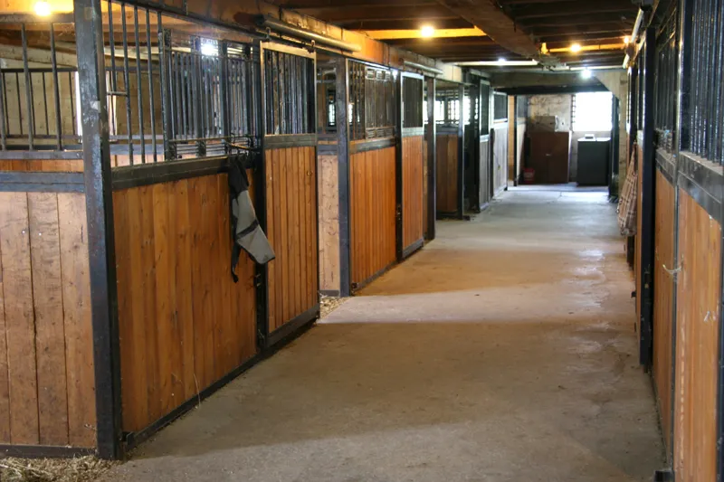 Morning Star Equestrian Farm — Brantford (4)