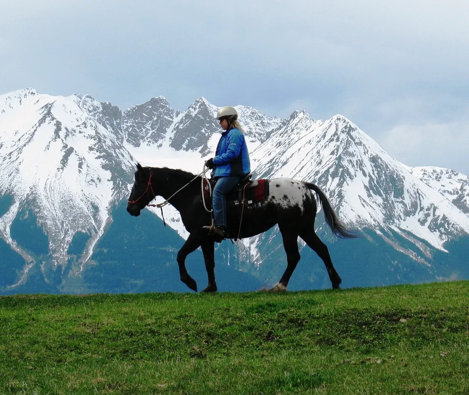 Mountain View Adventures/Mountain View Horse Society — Smithers (1)