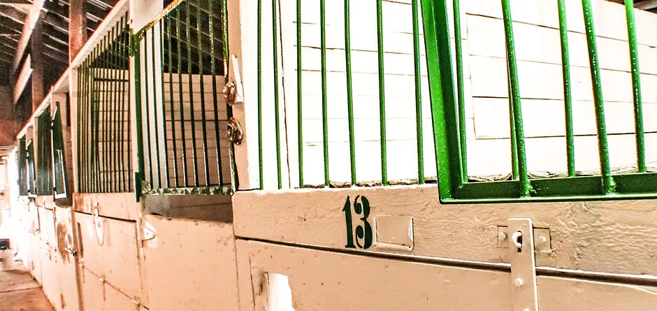 Neighbourly Stables — Lethbridge (2)