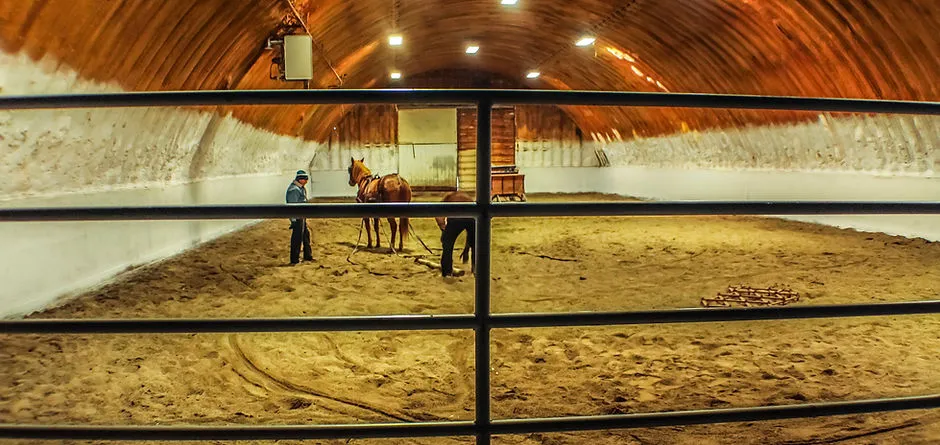 Neighbourly Stables — Lethbridge (3)