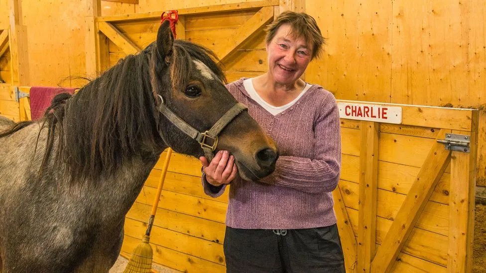 Newfoundland Pony Sanctuary — Change Island (1)