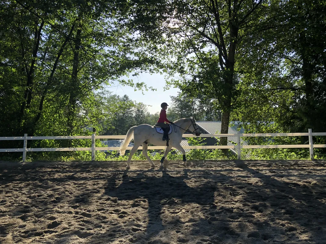 North Shore Equestrian Centre — North Vancouver (4)