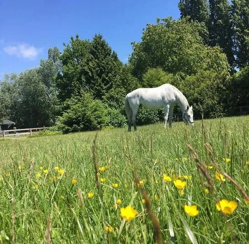 Old Southlands Stables — Vancouver (2)