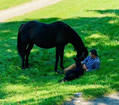 Orchard Park Stables — Freelton (2)