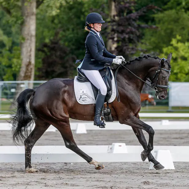 Outlander Equestrian — Montreal (2)